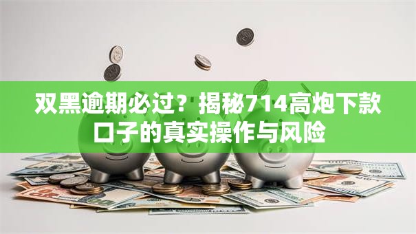 双黑逾期必过？揭秘714高炮下款口子的真实操作与风险