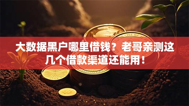 大数据黑户哪里借钱？老哥亲测这几个借款渠道还能用！
