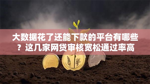 大数据花了还能下款的平台有哪些？这几家网贷审核宽松通过率高