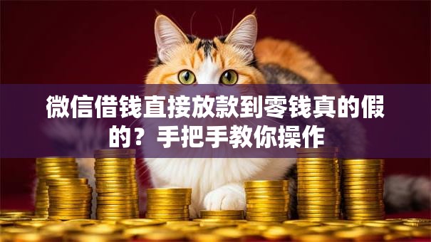 微信借钱直接放款到零钱真的假的？手把手教你操作