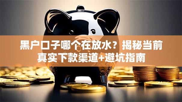 黑户口子哪个在放水？揭秘当前真实下款渠道+避坑指南