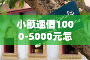 小额速借1000-5000元怎么选？这些避坑技巧一定要了解！
