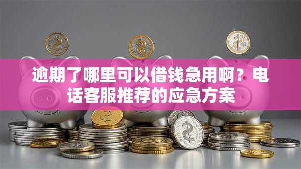 逾期了哪里可以借钱急用啊？电话客服推荐的应急方案