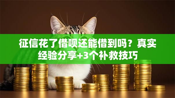 征信花了借呗还能借到吗？真实经验分享+3个补救技巧