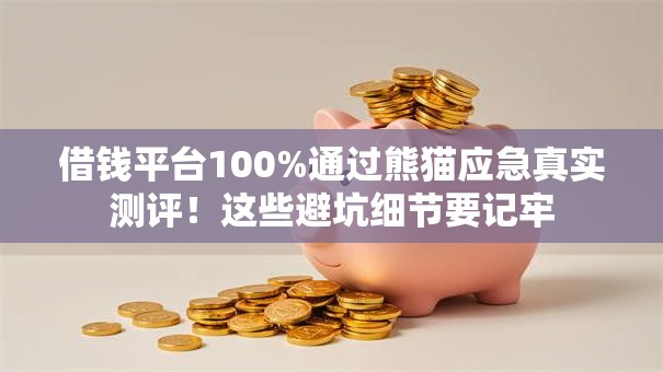 借钱平台100%通过熊猫应急真实测评！这些避坑细节要记牢