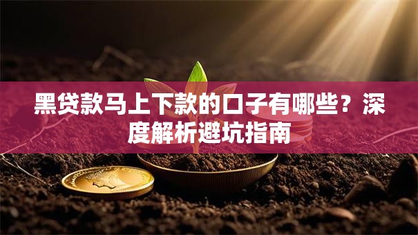 黑贷款马上下款的口子有哪些？深度解析避坑指南