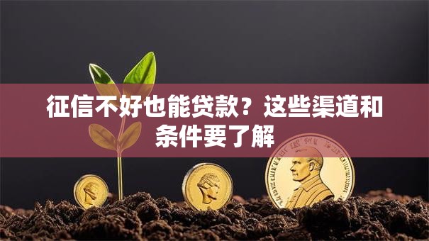 征信不好也能贷款？这些渠道和条件要了解