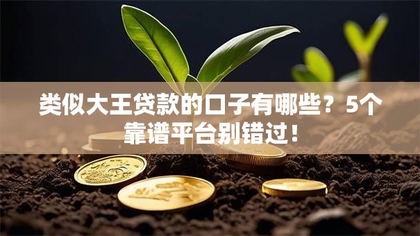 类似大王贷款的口子有哪些？5个靠谱平台别错过！