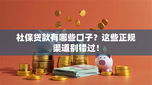 社保贷款有哪些口子？这些正规渠道别错过！