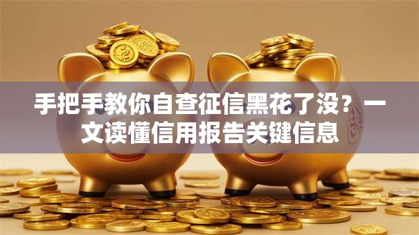 手把手教你自查征信黑花了没？一文读懂信用报告关键信息