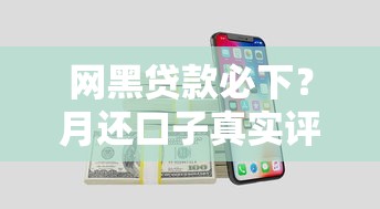网黑贷款必下？月还口子真实评测+避坑指南