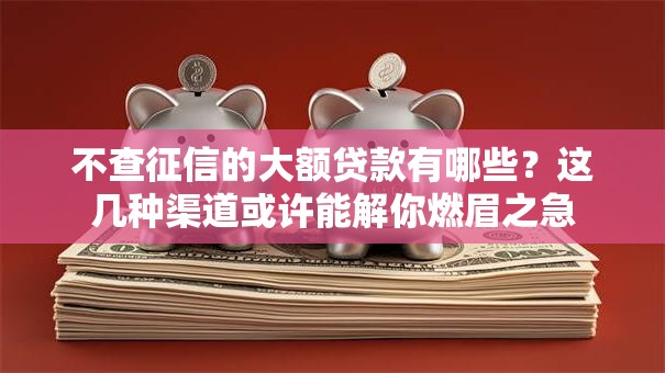 不查征信的大额贷款有哪些？这几种渠道或许能解你燃眉之急