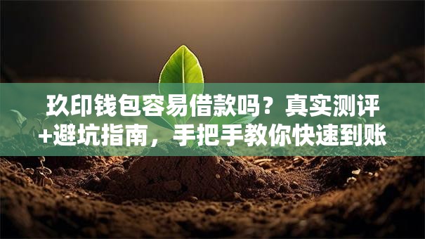 玖印钱包容易借款吗？真实测评+避坑指南，手把手教你快速到账