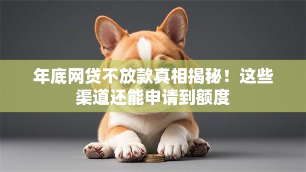 年底网贷不放款真相揭秘！这些渠道还能申请到额度