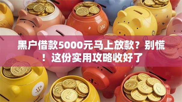 黑户借款5000元马上放款？别慌！这份实用攻略收好了