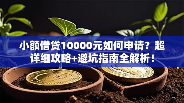 小额借贷10000元如何申请？超详细攻略+避坑指南全解析！