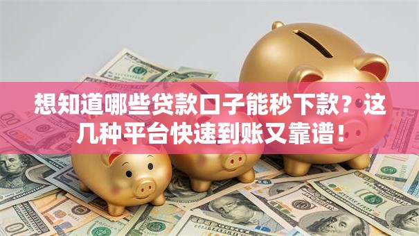 想知道哪些贷款口子能秒下款？这几种平台快速到账又靠谱！