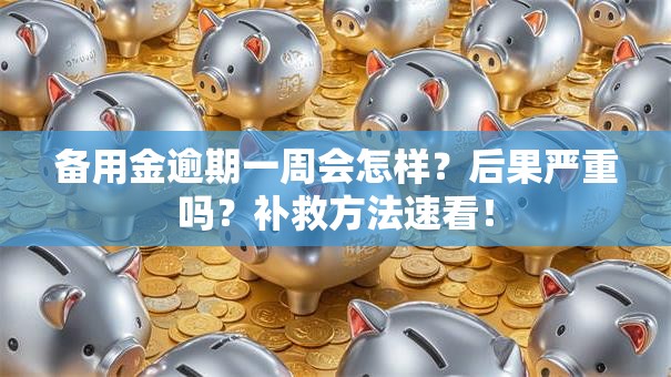 备用金逾期一周会怎样？后果严重吗？补救方法速看！
