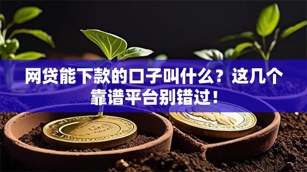 网贷能下款的口子叫什么？这几个靠谱平台别错过！