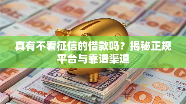 真有不看征信的借款吗？揭秘正规平台与靠谱渠道