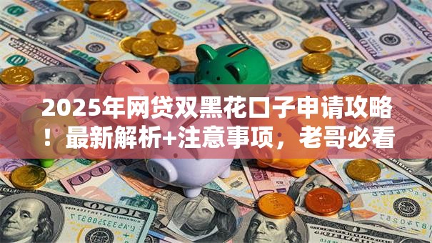 2025年网贷双黑花口子申请攻略！最新解析+注意事项，老哥必看