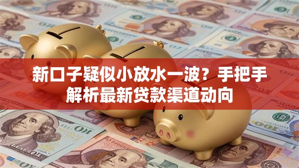 新口子疑似小放水一波？手把手解析最新贷款渠道动向