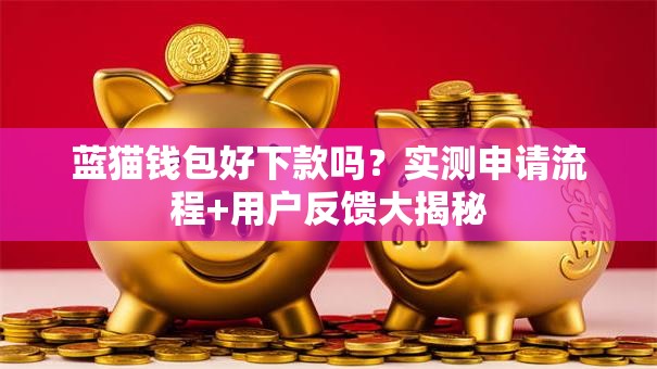 蓝猫钱包好下款吗？实测申请流程+用户反馈大揭秘