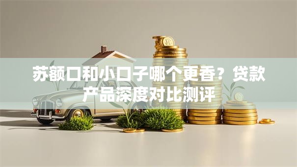 苏额口和小口子哪个更香？贷款产品深度对比测评