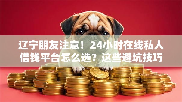 辽宁朋友注意！24小时在线私人借钱平台怎么选？这些避坑技巧要牢记