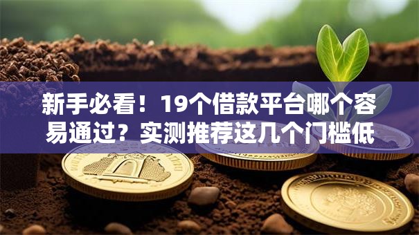 新手必看！19个借款平台哪个容易通过？实测推荐这几个门槛低的