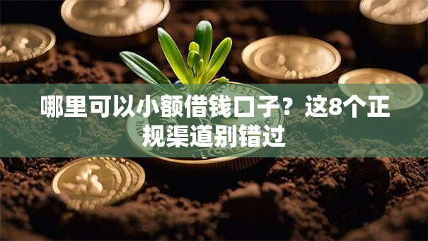 哪里可以小额借钱口子？这8个正规渠道别错过