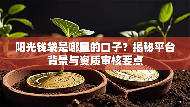 阳光钱袋是哪里的口子？揭秘平台背景与资质审核要点