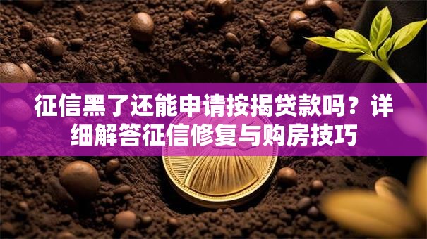 征信黑了还能申请按揭贷款吗？详细解答征信修复与购房技巧