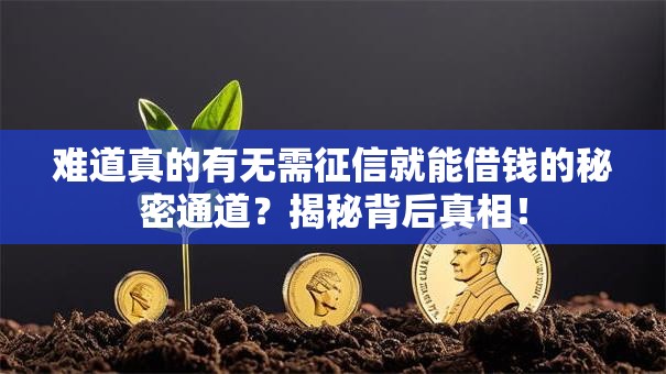 难道真的有无需征信就能借钱的秘密通道？揭秘背后真相！