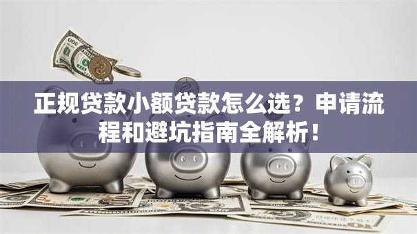 正规贷款小额贷款怎么选？申请流程和避坑指南全解析！