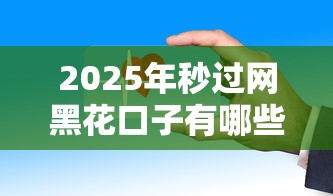 2025年秒过网黑花口子有哪些？这些新平台审核超快！