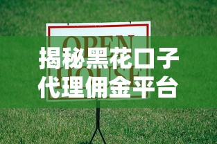 揭秘黑花口子代理佣金平台：贷款中介的灰色江湖
