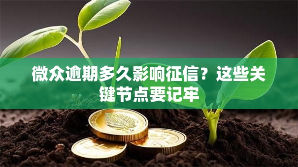 微众逾期多久影响征信？这些关键节点要记牢