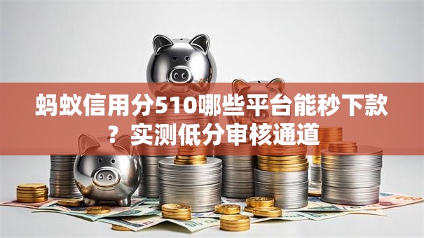 蚂蚁信用分510哪些平台能秒下款？实测低分审核通道