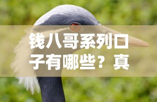 钱八哥系列口子有哪些？真实评测+避坑指南