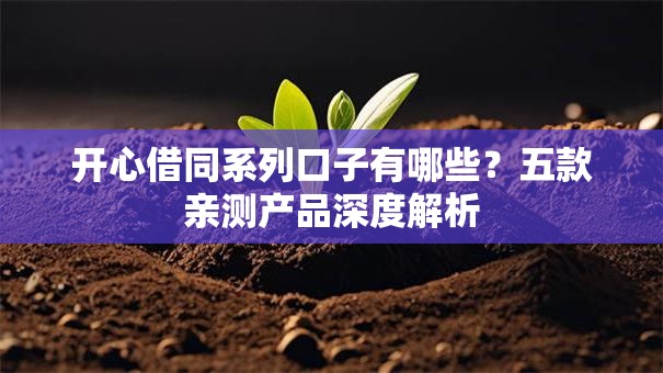 开心借同系列口子有哪些？五款亲测产品深度解析