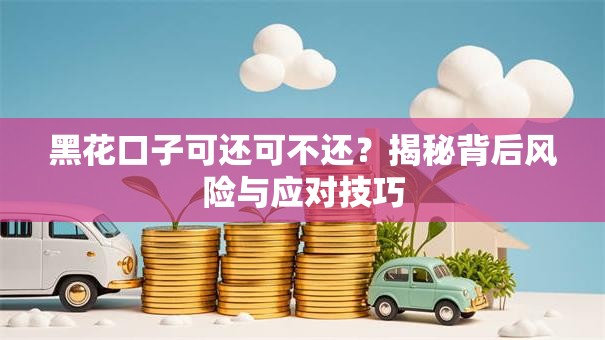 黑花口子可还可不还？揭秘背后风险与应对技巧