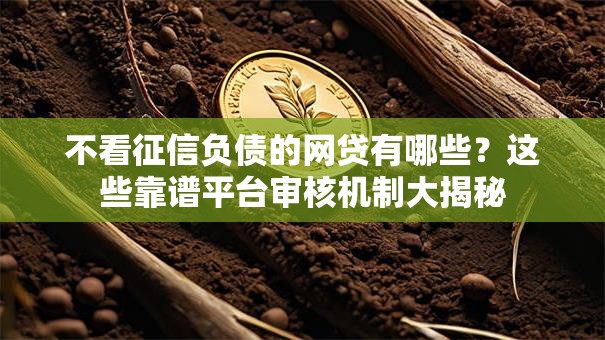 不看征信负债的网贷有哪些？这些靠谱平台审核机制大揭秘