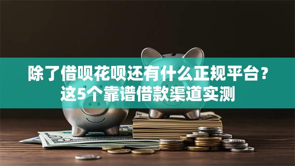 除了借呗花呗还有什么正规平台？这5个靠谱借款渠道实测