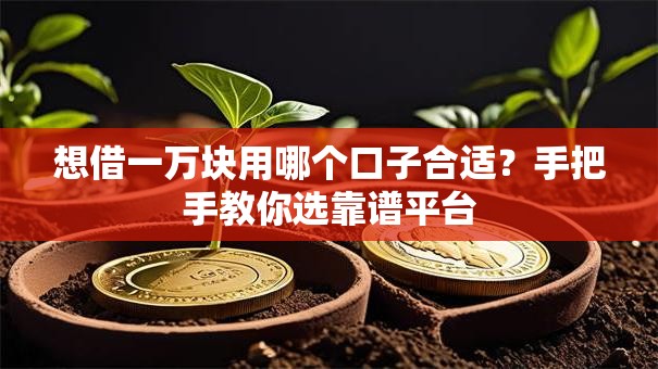 想借一万块用哪个口子合适？手把手教你选靠谱平台