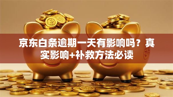 京东白条逾期一天有影响吗？真实影响+补救方法必读