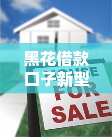 黑花借款口子新型靠谱吗？最新评测+避坑指南大公开