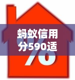 蚂蚁信用分590适合首次借款的平台有哪些？新手必看攻略