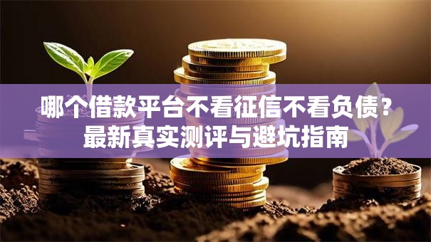哪个借款平台不看征信不看负债？最新真实测评与避坑指南