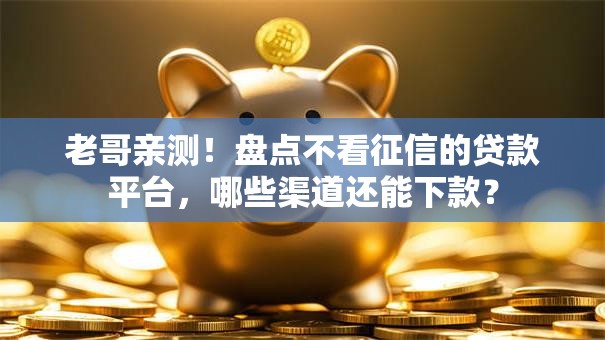 老哥亲测！盘点不看征信的贷款平台，哪些渠道还能下款？